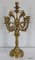 19th Century Bronze Candelabrum 20