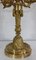 19th Century Bronze Candelabrum 14