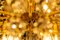 Large Empire Style Chandelier 17