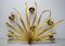 Large Italian Wall Lamp With Leaves & Flowers in Brass, 1960s, Image 6