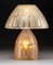 Frosted Glass Lamp from R. Lalique Saint-Nabor, 1927, Image 2
