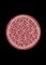 Alfombra circular rosa de Raul para Malcusa, Imagen 1
