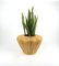 Rattan Cachepot Vase or Plant Holder, Italy, 1970s 7