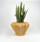 Rattan Cachepot Vase or Plant Holder, Italy, 1970s 9