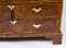 18th Century Queen Anne Double Dome Burr Walnut Bureau Bookcase 5