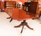 Regency Twin Pillar Dining Table & 10 Swag Back Chairs, 19th Century, Set of 11 5