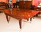 Regency Flame Mahogany Dining Table & 12 Chairs, 19th Century, Set of 13, Image 7