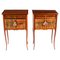 Ormolu Mounted Parquetry Side or Bedside Tables, 19th Century, Set of 2 1