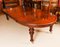 Oval Extending Dining Table & 10 Balloon Back Dining Chairs, 19th Century, Set of 11 4