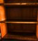 Viktorianisches Bücherregal aus Nussholz mit vier Türen, 19. Jh 13