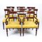 19th Century Regency Twin Pillar Dining Table & Chairs, Set of 9 14