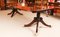 19th Century Regency Twin Pillar Dining Table & Chairs, Set of 9 7