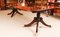 19th Century Regency Twin Pillar Dining Table & Chairs, Set of 9, Image 7