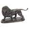 French Bronze Sculpture of a Pacing Lion by Edouard Delabrierre, 19th Century 1