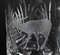 Jarra de vidrio tallado grabado con ciervo de ACC, mediados del siglo XX, Imagen 2