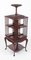 20th Century Mahogany Revolving Bookcase, Image 14