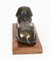 French Bronze Recumbent Sphinxes, 19th Century, Set of 2 10