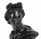 Italian Grand Tour Apollo & Diana Busts, 19th-Century, Bronze, Set of 2, Image 6