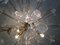 White Butterfly Murano Glass Sputnik Chandelier from Murano Glass 4