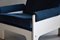 Mid-Century Modern Blue & White Lounge Chair from T Spectrum, Image 3