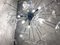 Lámpara de araña Sputnik Butterfly transparente de cristal de Murano, Imagen 4