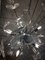 Lustre Sputnik Papillon Transparent en Verre de Murano 2