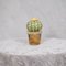 Green & Orange Murano Art Glass Cactus Plant, 1990 9