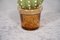 Green & Orange Murano Art Glass Cactus Plant, 1990 4
