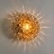 Amber Glass Wall Sconce by Helena Tynell, Germany, 1960s 12