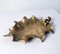 Bandeja Mid-Century hecha a mano con hojas de acebo, Italia, Imagen 6