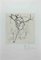 Gustave Pierre, Trees, Original China Ink and Pen Drawing, Early 20th-Century, Image 1