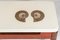 Tavolino da caffè in ammonite intarsiato di Philippe Barbier, Immagine 5