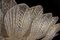 Plafonnier ou Encastré Majestic Feuilles d'Or en Verre de Murano 11