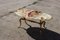 French Onyx Marble and Brass Coffee Table, Image 5