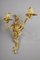 Louis XV Style Gilt Bronze Sconces, Set of 2 4