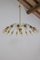 Large Mid-Century Modern Italian Spider Gold-Colored Murano Glass Chandelier, 1950s 17