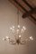 Lámpara de araña italiana Mid-Century con 16 luces de Oscar Torlasco para Lumi Milano, años 50, Imagen 5