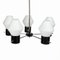 Black and White Chandelier with Five Arms 3
