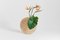 Große Marmor Flower Pot Vase von Masquespacio 2