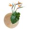 Große Marmor Flower Pot Vase von Masquespacio 1