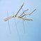 Handmade Golden Suspended Branches Sculpture by Le Jellyfish 3