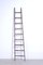 Vintage Pioli Ladder, 1940s, Image 1