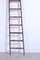 Vintage Pioli Ladder, 1940s, Image 2