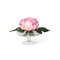 Composizione Eternity Alzata Peony di VGnewtrend, Italia, Immagine 1