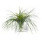 Italian Eternity Square Grass Set Arrangement Composition from VGnewtrend, Image 1