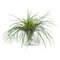 Italienisches Eternity Square Grass Set Arrangement Composition von VGnewtrend 1