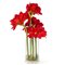 Arrangiamento Eternity Amaryllis Radish di VGnewtrend, Immagine 1