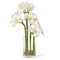 Arrangiamento Eternity Amaryllis Radish di VGnewtrend, Immagine 1