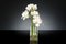 Arrangiamento Eternity Amaryllis Radish di VGnewtrend, Immagine 2