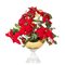 Italian Coppa Alice Red Star Set Arrangement Composition from VGnewtrend 1